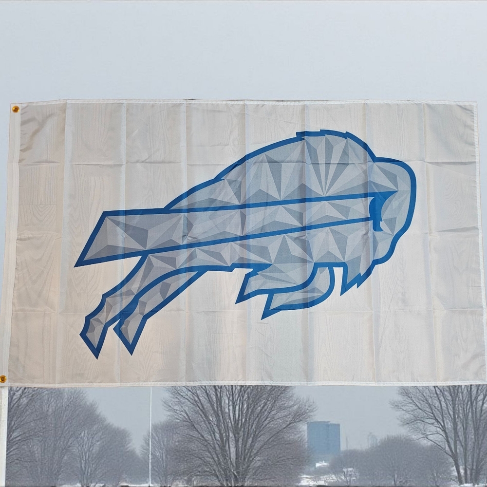 Buffalo Bills Rivalries Flag 3x5 New Limited Quantity